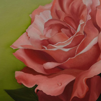 Meine liebste Rose, Detail, Dr. Astrid Markus-Erb