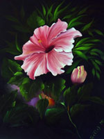 Tropischer Hibiscus nach G. Jenkins, Dr. Astrid Markus-Erb