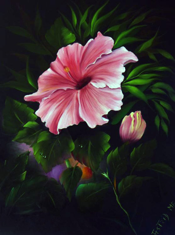 Tropischer Hibiscus nach G. Jenkins, Dr. Astrid Markus-Erb