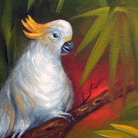 Kakadu, Detail, Dr. Astrid Markus-Erb